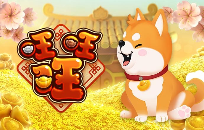 白菜官网彩金